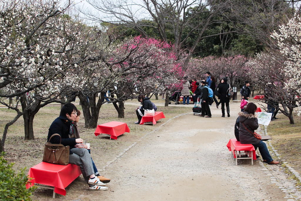 People and Plum blossoms