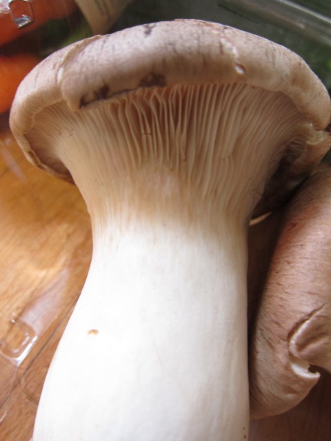 CSA Mushrooms