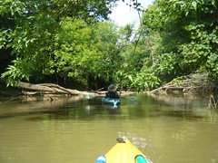 Saluda River Paddle-15