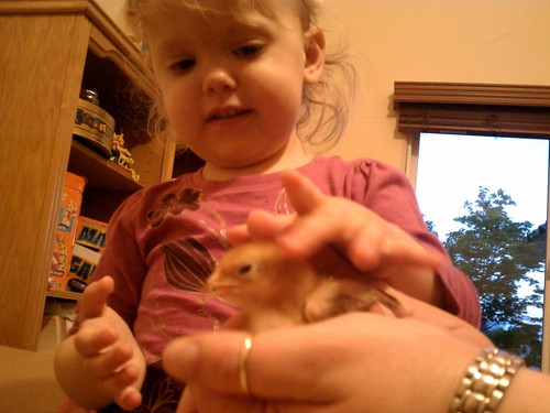 Lily and a chick