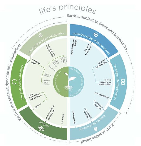 HOK Life's principles, applicable to design, graphic