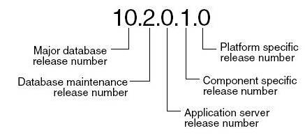 oracle_release_number
