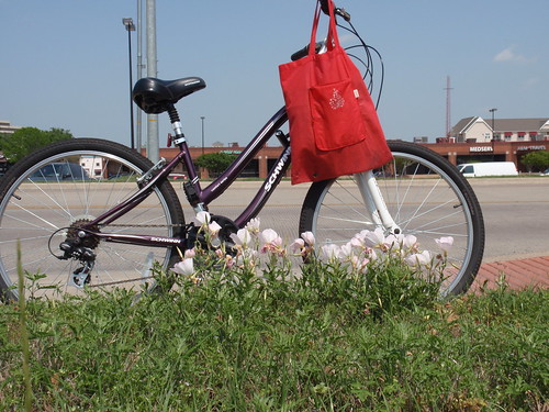 Bike with Wildflowers
