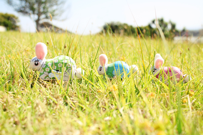 *Bunnies in the grass*