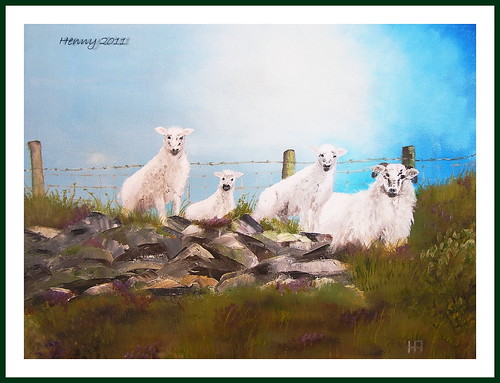 painting sheeps by Henny Aarts