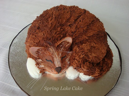Cat Cake by springlakecake