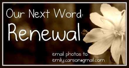 Next Word, Renewal
