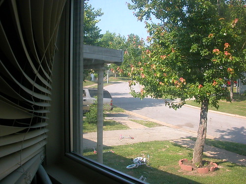 June 10 2011 Veiw from front window