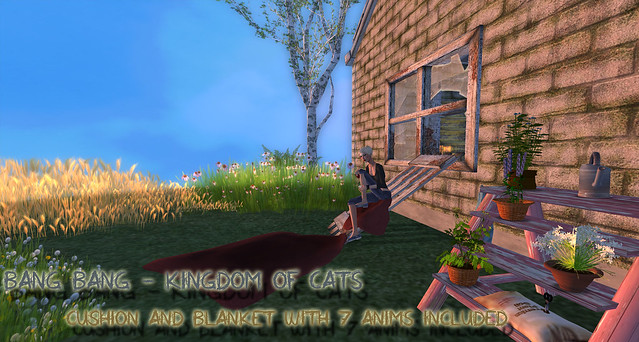 Bang Bang Lairs - Kingdom of Cats 2