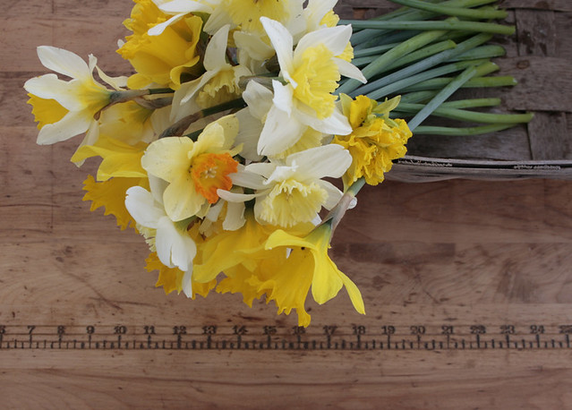 daffodils, sewing table
