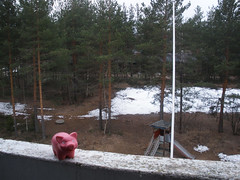Pigsback Piggy in Imatra, Finland