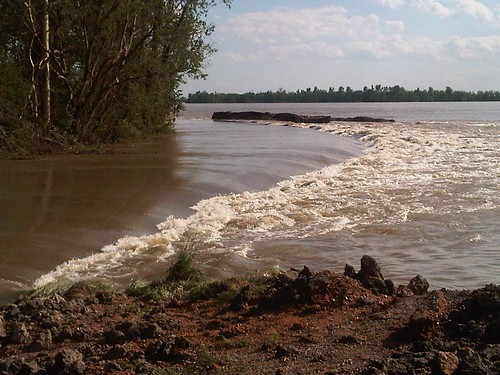 Edge of the inflow section, Bird's Point floodway. image by the US Army Corps of Engineers