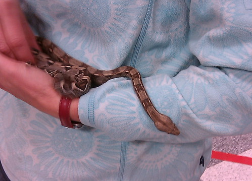 Holding Chester the Snake