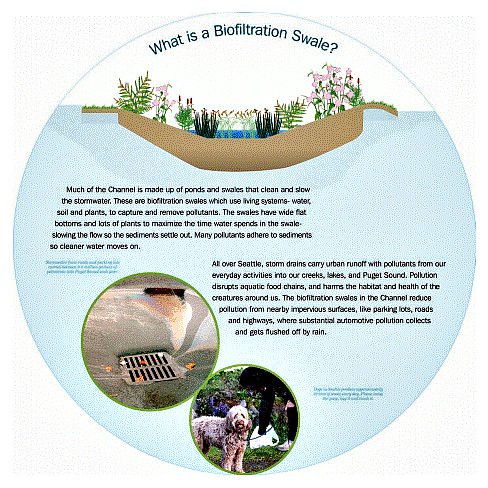 signage: What is a Biofiltration Swale? (by: City of Seattle)