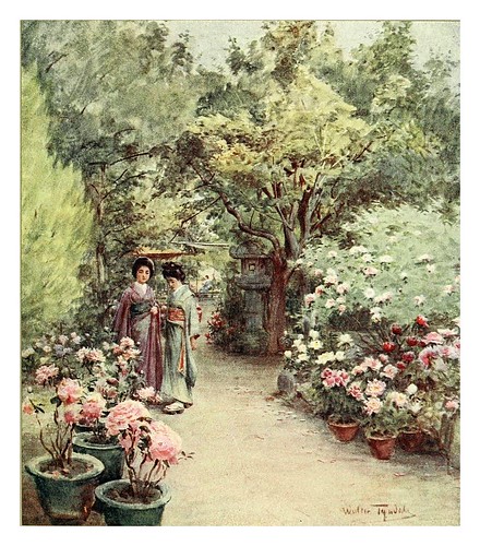 020-Peonias en un jardin de te en Kyoto-Japanese gardens 1912-Walter Tyndale