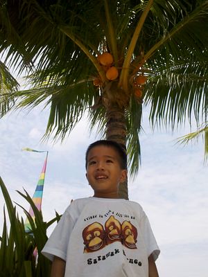 Julian under a coconut tree
