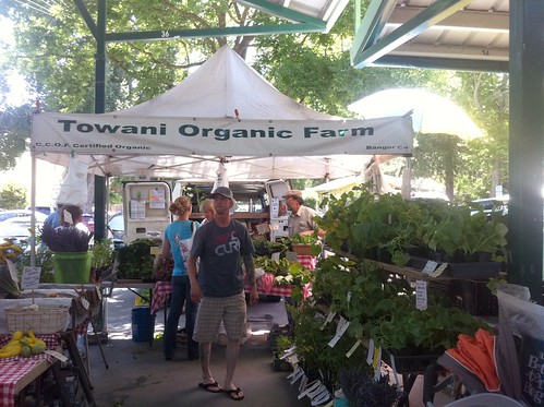 Towani Organic Farm