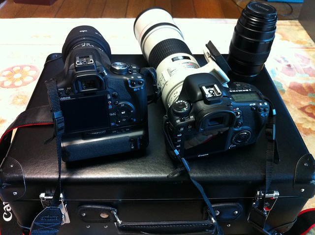 Canon Rebel T1i vs EOS 7D