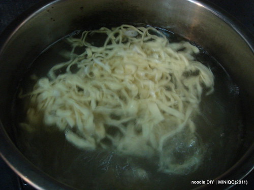 20110701  noodle DIY _09