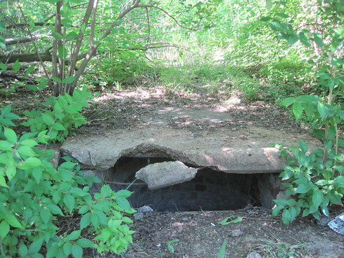 Storm drain on the north side of the former Dickson Street.