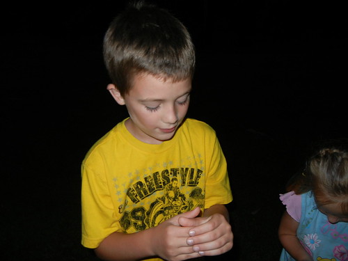 June 22 2011 Clark fireflies