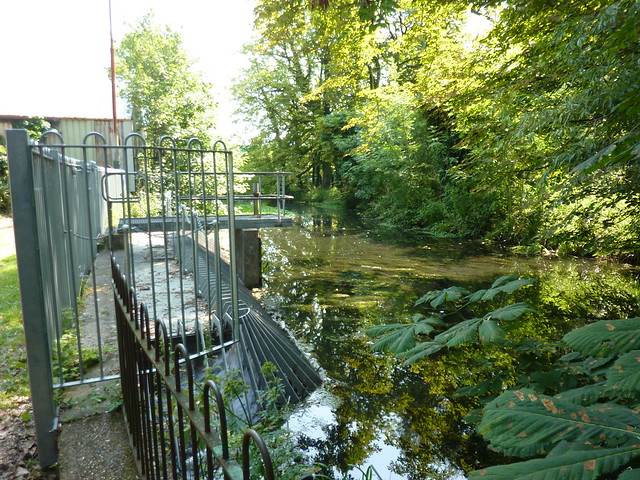 Weir when the Carshalton and Waddon branches of the Wandle merge together