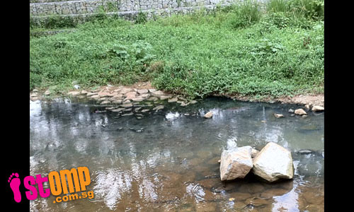 After NEA check, petrol kiosk still leaking sewage into Bishan canal?