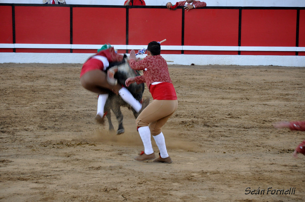 Modesto Festa Bullfights 2011 - 090