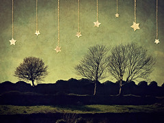 Trees and Stars