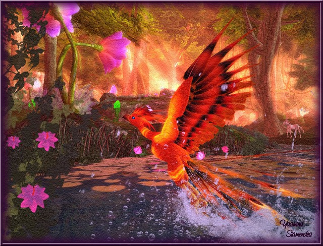 Phoenix-Waterstart in Elven Realm