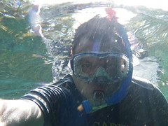 Steve underwater at Manatee Springs