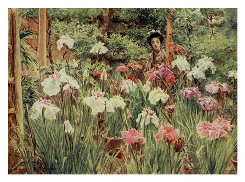 013-Flores de Iris-Japanese gardens 1912-Walter Tyndale