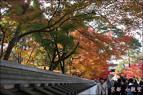 京都 永觀堂