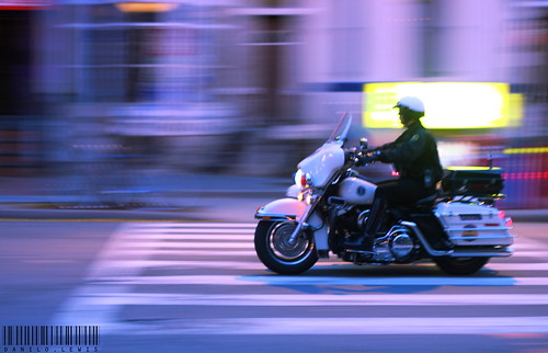 DC in Motion | DCPD