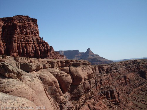 There are some very tall cliffs above the Colorado River!