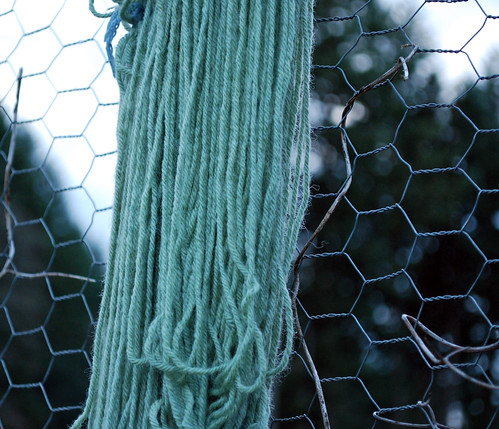 Yarn dyed with Black Beans