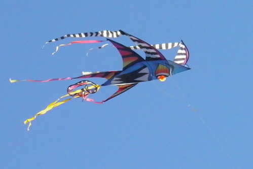 Flying fish kite