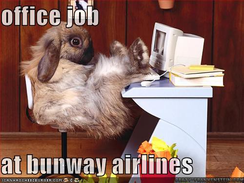 bunway airlines- dihasstories.com