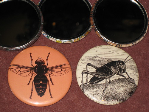Day 15:  Fly and Grasshopper Pocket Mirrors