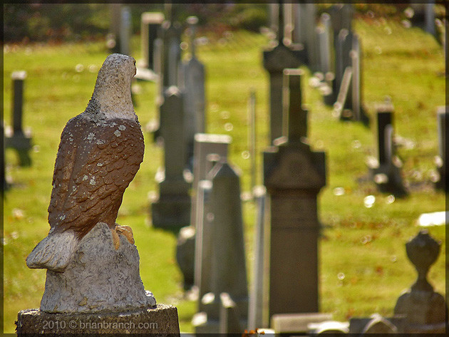 P1120688_cemetery_eagle