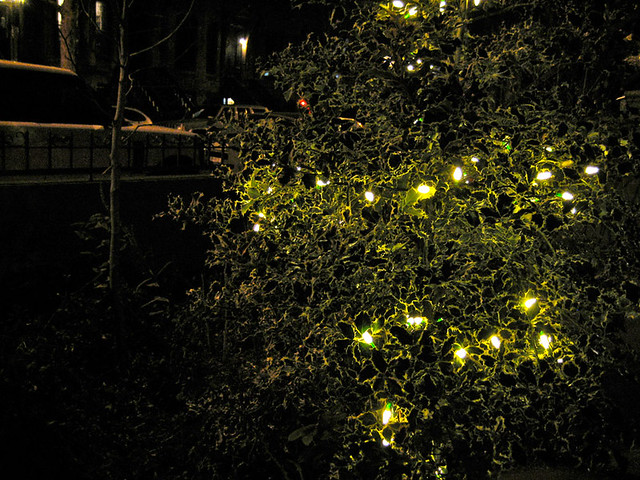 christmas-lights