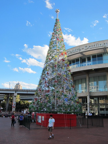 Christmas tree at Darling Harbour