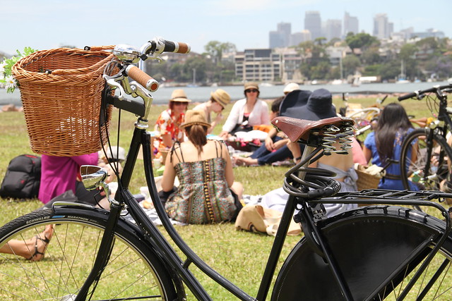 the bike picnic