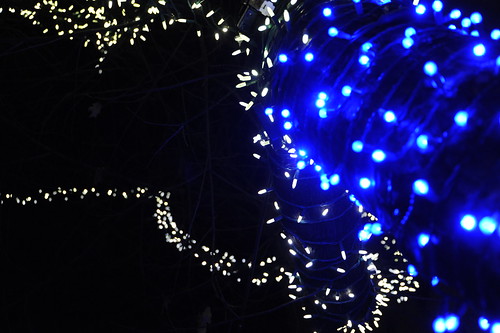 Memphis Blues - W.C. Handy, blue lights Christmas tree, Seattle, Washington, USA by Wonderlane