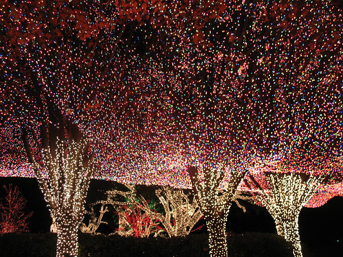 Christmas lights in Fort Worth