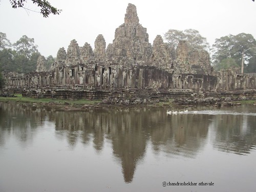 swans in front of Bayon temple c