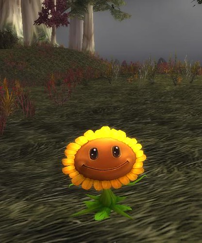 smiley sunflower. Smiley sunflower