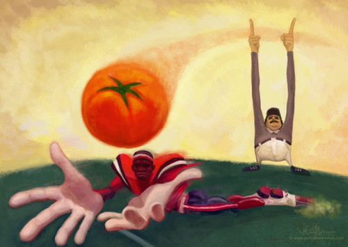digital painting of rugby tomato illustration - small
