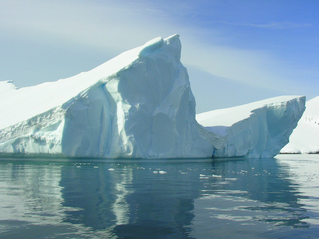 ANTARCTICA2010-109 Foyn Barbour 南極 Foyn灣