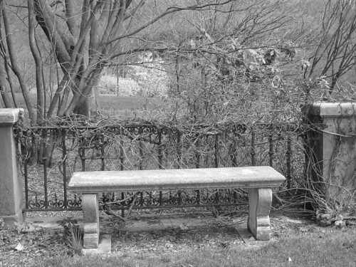 Bench black and white